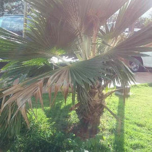 Meet your Posher, Ingrid